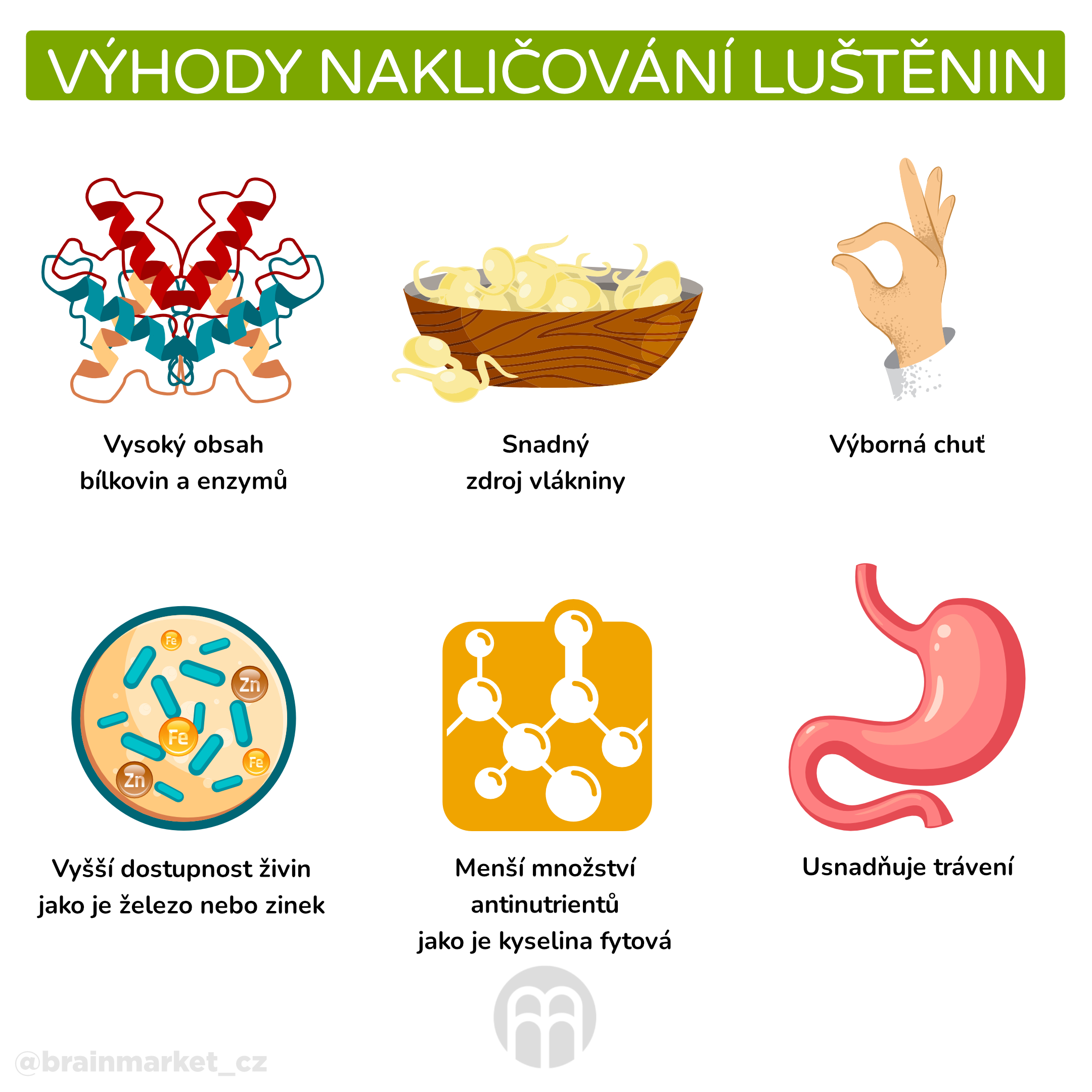 Výhody nakličování luštěnin_infografika_cz (1)